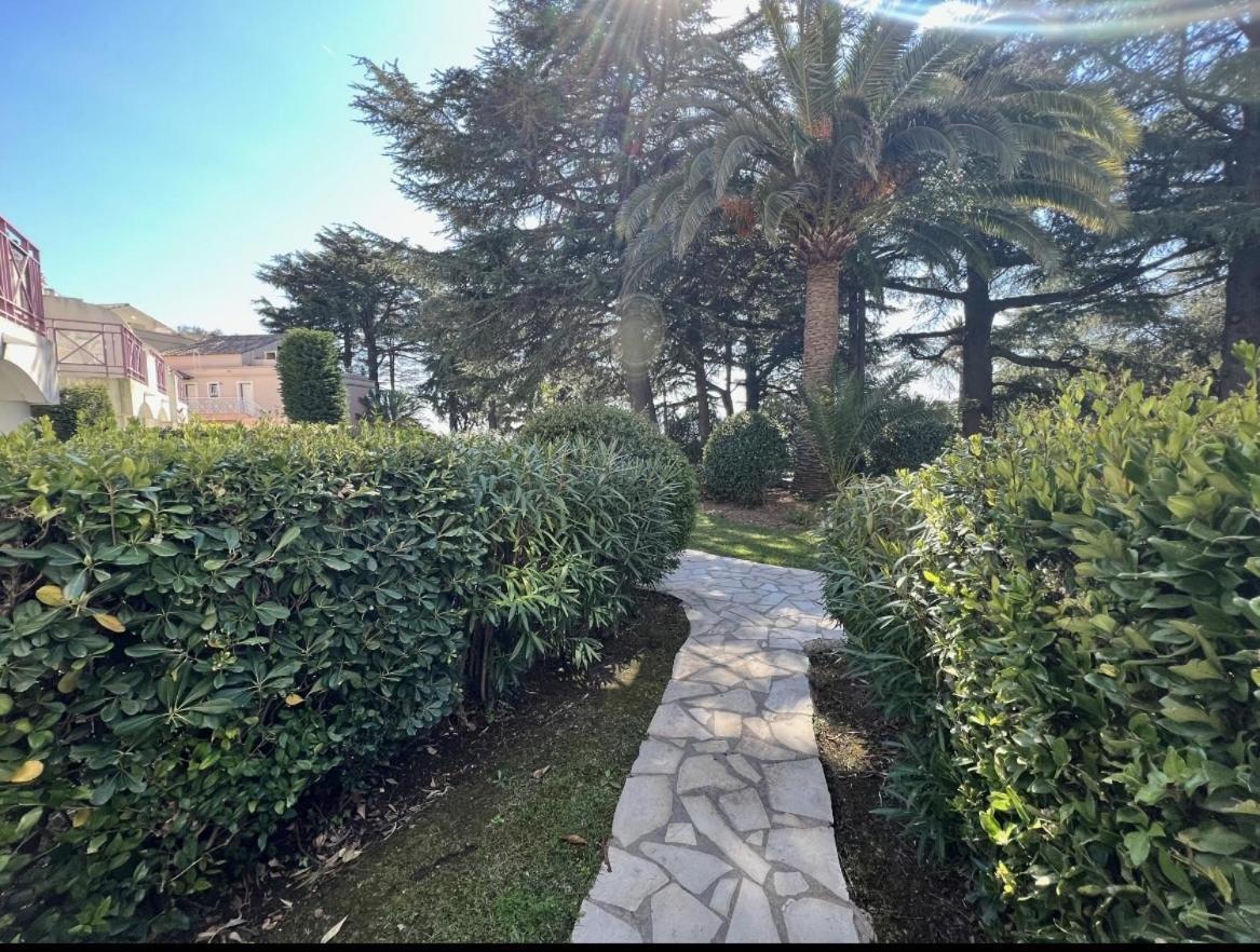 Gabrielle Appartements Cannes Rom bilde